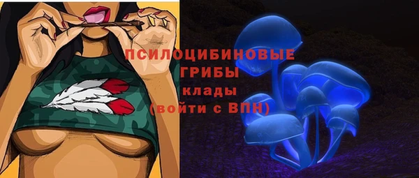 каннабис Арсеньев