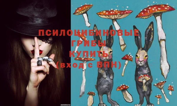 каннабис Арсеньев