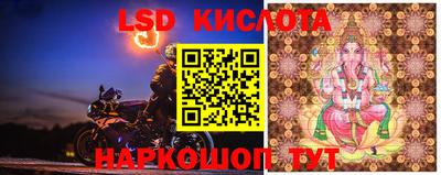 ALPHA PVP Краснознаменск