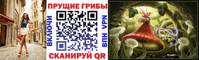 Псилоцибиновые грибы MAGIC MUSHROOMS Качканар