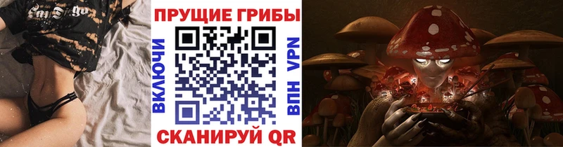 мориарти официальный сайт  Качканар  Псилоцибиновые грибы Psilocybine cubensis  дарнет шоп 